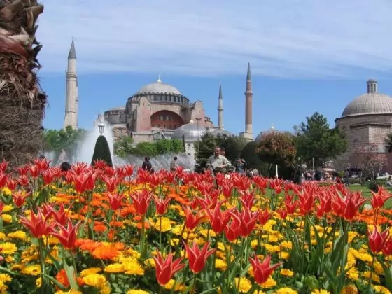 Екскурзия до Истанбул за Фестивала на лалето