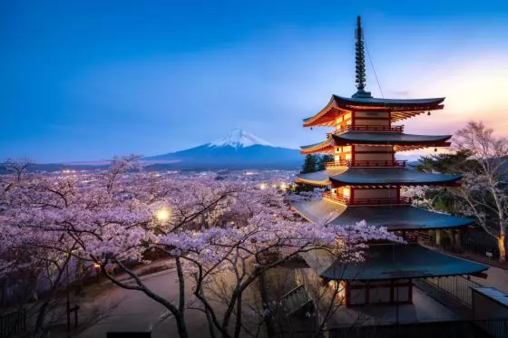 Сакура – нежната магия на Япония със самолет от София