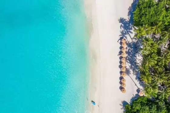 Почивка на Малдивите, Зима/Пролет 2024г.